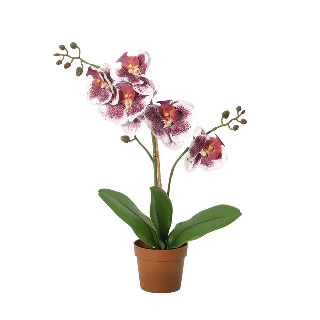 Kunstplant Phalaenopsis orchid violet white - ↕41cm