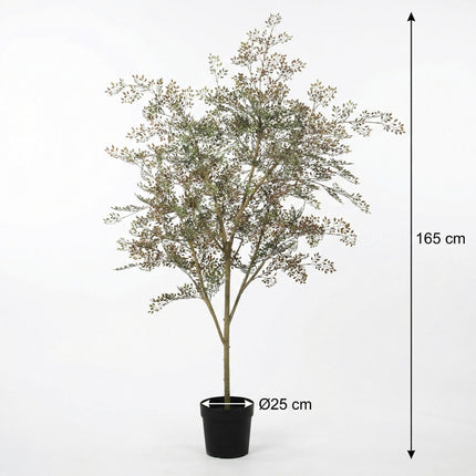 Kunstplant Bucida - ↕165cm