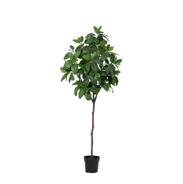 Kunstplant Magnolia - ↕190cm