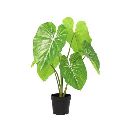 Kunstplant Philodendron  - ↕100cm