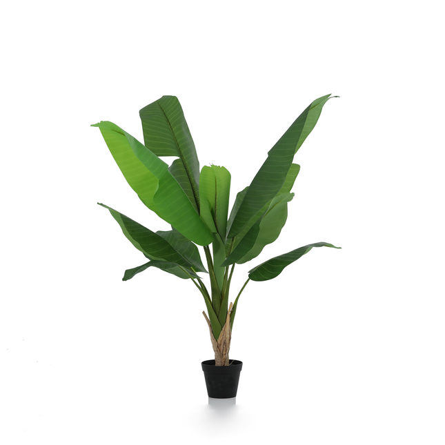 Kunstplant Bananenplant Musa - ↕120cm