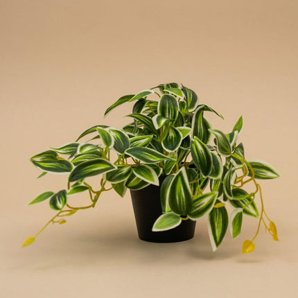 Kunstplant Tradescantia Groen/Wit - ↕17cm - Ø19cm