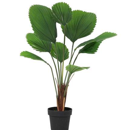 Kunstplant Licuala Grandis - ↕100cm