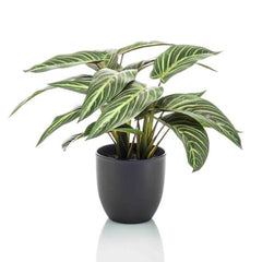 Collection image for: Kunstplant Met Pot