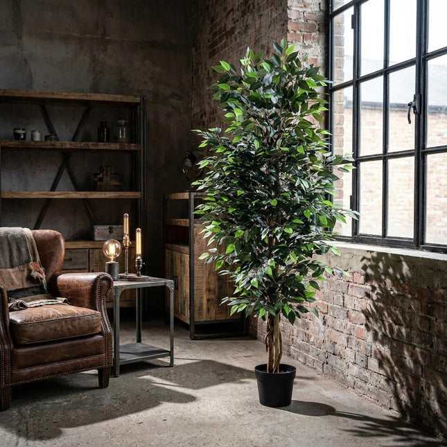 Kunstplant Ficus Benjamina - ↕180cm