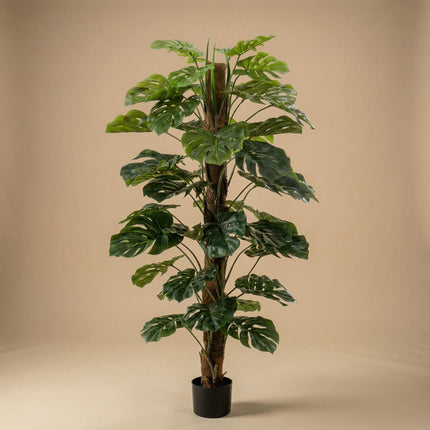 Kunstplant Monstera op stok - ↕150 cm