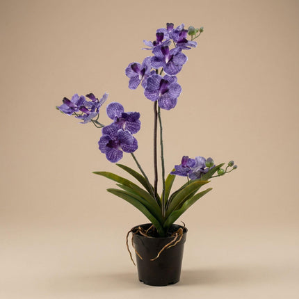 Kunstplant Orchidee Vanda in pot - ↕60cm