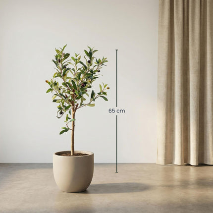 Kunstplant Olijfboom in pot - ↕65cm
