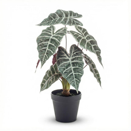 Kunstplant  Alocasia bush in pot - ↕40cm