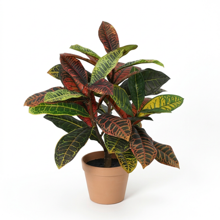 Kunstplant Croton codiaeum - ↕40cm