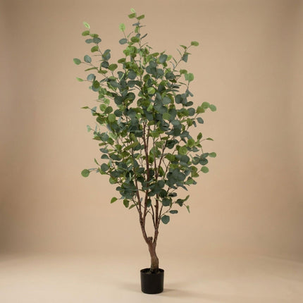 Kunstplant - Eucalyptus boom - ↕140cm