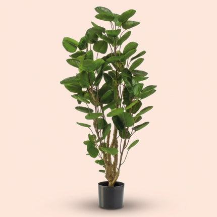 Kunstplant - Polyscias boom - ↕105cm