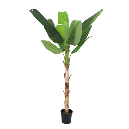 Kunstplant Bananenplant Musa - ↕190cm