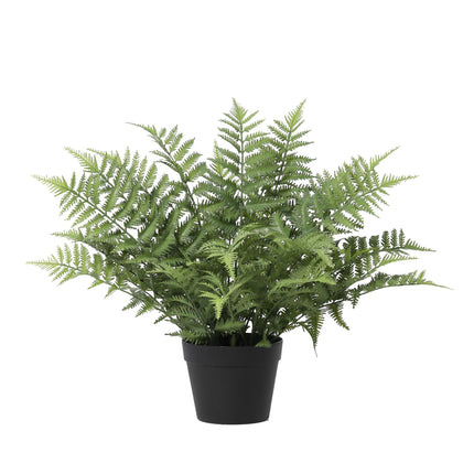Kunstplant Nephrolepis exaltata - ↕59cm