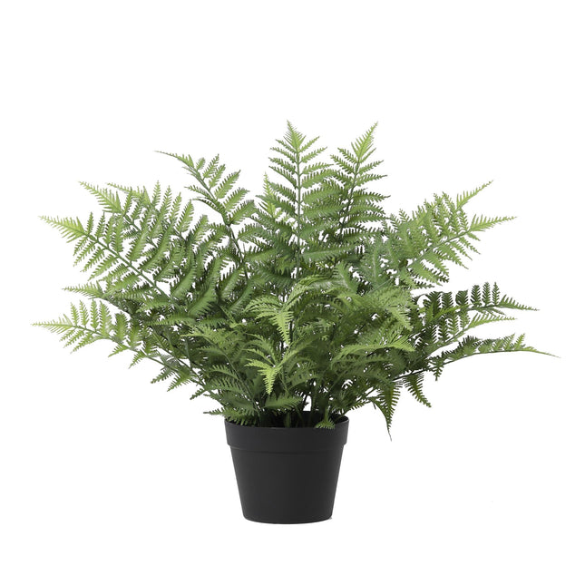 Kunstplant Nephrolepis exaltata - ↕59cm