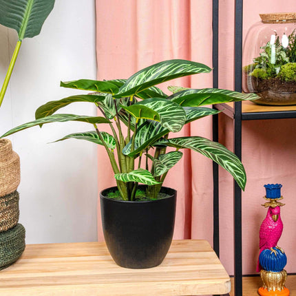 Kunstplant Calathea Zebrina - in zwarte pot - ↕42cm