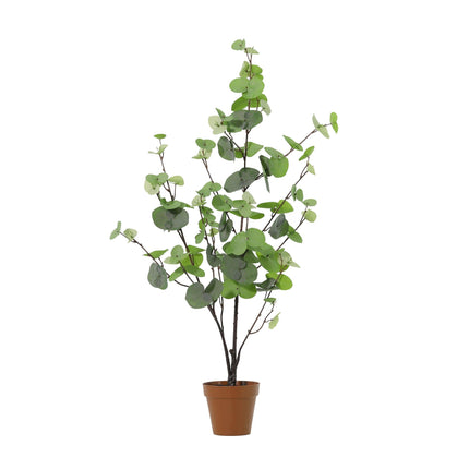 Kunstplant Eucalyptus green - ↕86cm