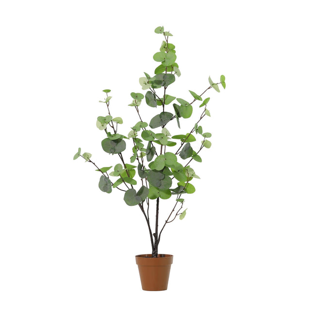 Kunstplant Eucalyptus green - ↕86cm