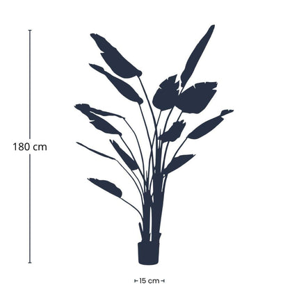Grote Kunstplant Strelitzia Nicolai - In zwarte pot - ↕180cm
