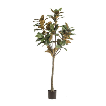 Grote Kunstplant - Magnolia Denudata - ↕150 cm