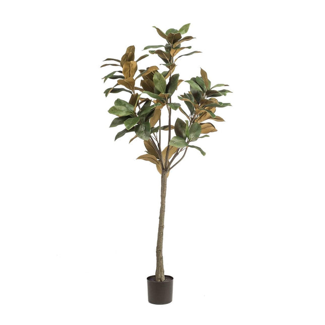 Grote Kunstplant - Magnolia Denudata - ↕150 cm
