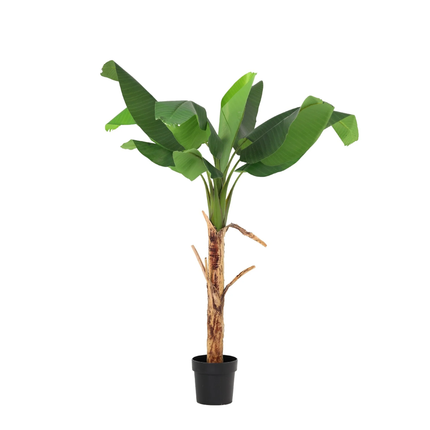 Kunstplant Bananenplant Musa - ↕150cm