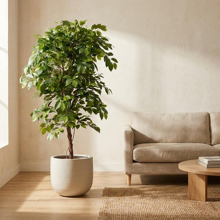 Kunstplant Ficus Deluxe Vine Kunstboom - ↕140cm