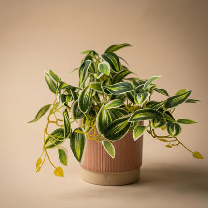 Kunstplant Tradescantia Groen/Wit - ↕17cm - Ø19cm