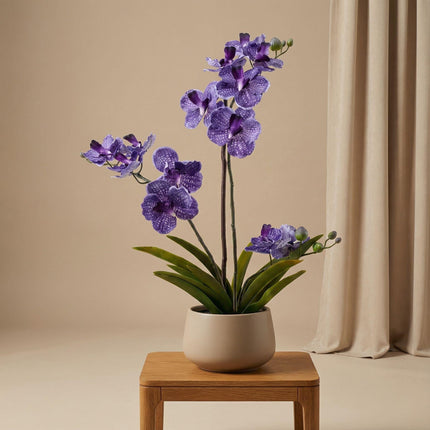 Kunstplant Orchidee Vanda in pot - ↕60cm