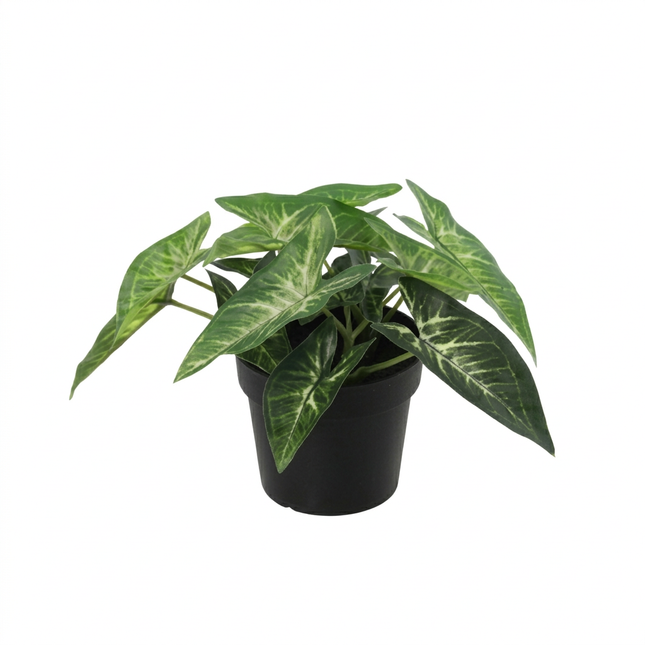 Kunstplant Syngonium - ↕15cm