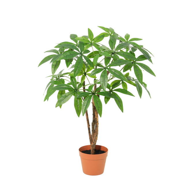 Kunstplant Pachira Aquatica - ↕85cm