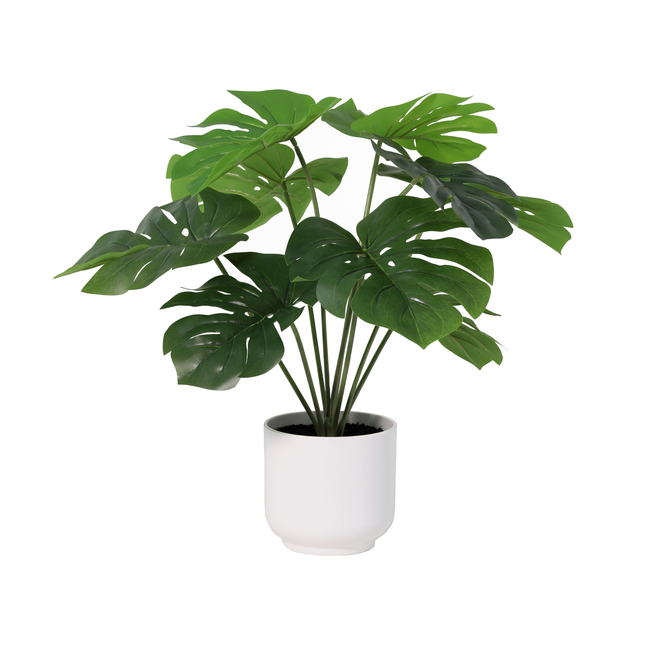 Kunstplant Monstera Deliciosa in witte pot - ↕50cm