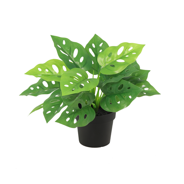 Kunstplant Monstera Monkey leaf - ↕22cm
