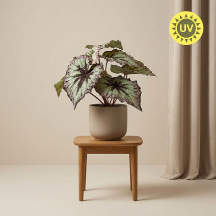 Kunstplant Begonia in pot - ↕26 cm