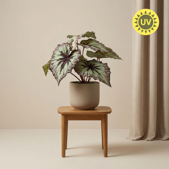 Kunstplant Begonia in pot - ↕26 cm