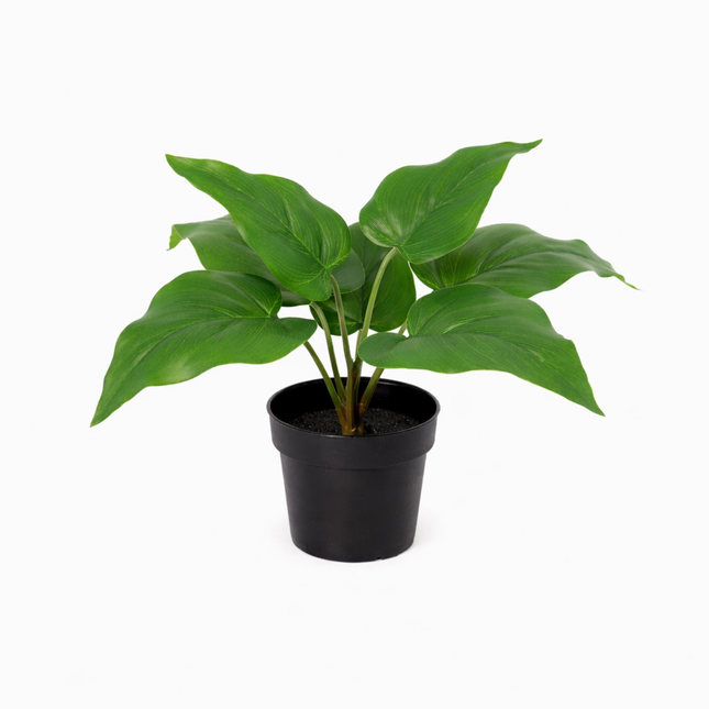Kunstplant Philodendron Imperial Green - ↕25cm