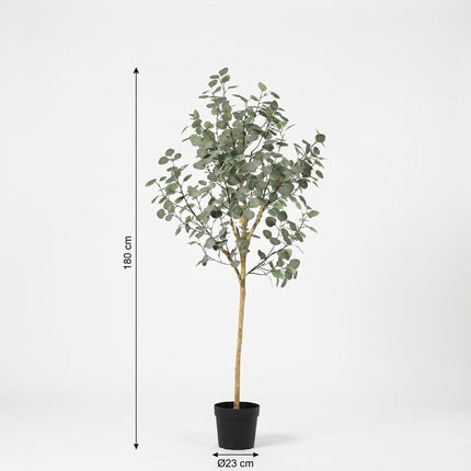 Kunstplant Eucalyptus - ↕180cm
