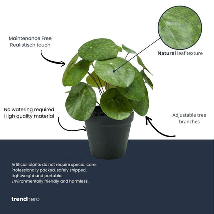 Kunstplant Pilea bush in zwarte pot - ↕25 cm