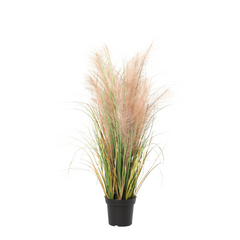 Collection image for: Kunstplant Riet