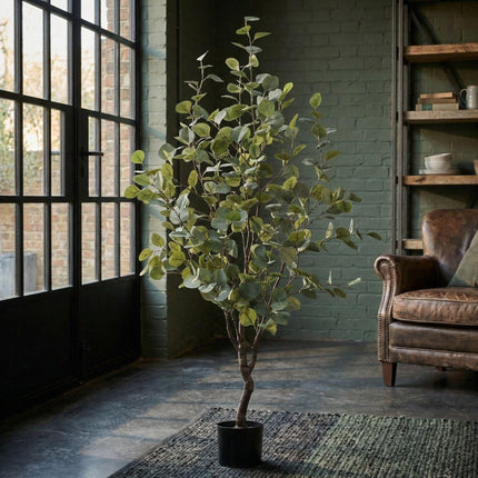 Kunstplant Eucalyptus - kunstboom - ↕140cm