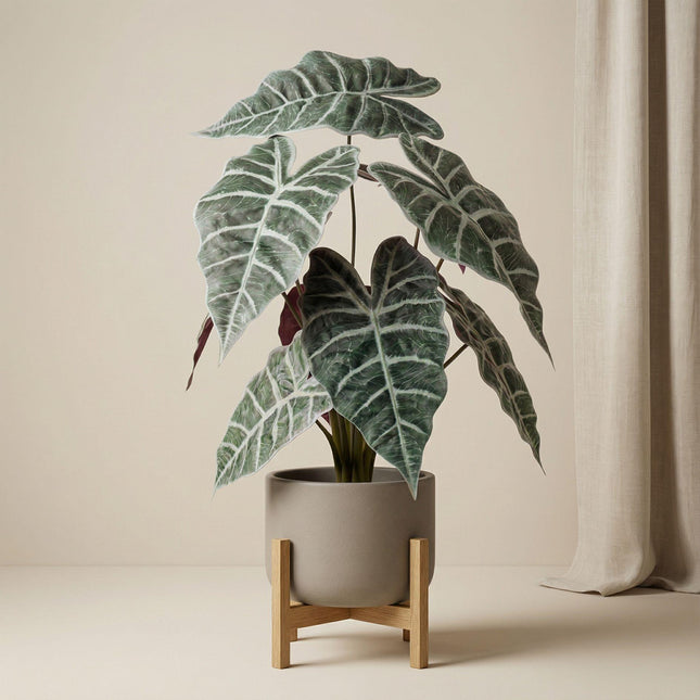Kunstplant  Alocasia bush in pot - ↕40cm