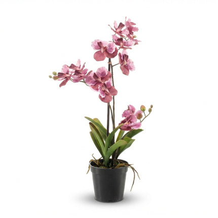 Kunstplant Orchidee Vanda in pot -↕60cm