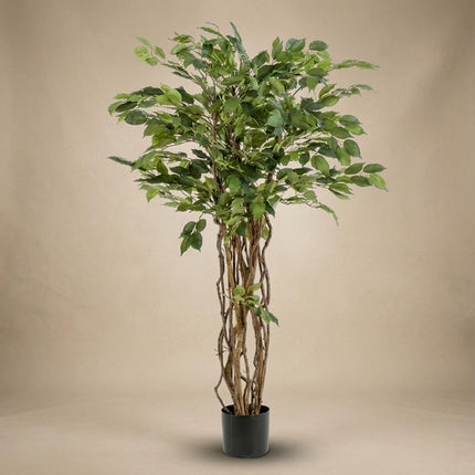 Kunstplant Ficus Liana - Vioolbladplant - ↕140cm