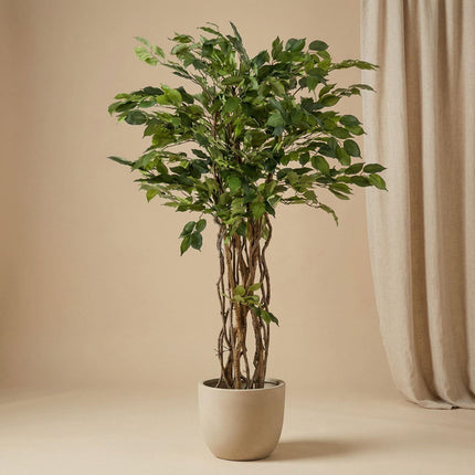 Kunstplant Ficus Liana - Vioolbladplant - ↕140cm