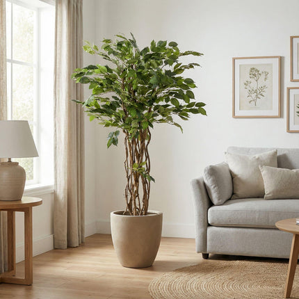 Kunstplant Ficus Liana - Vioolbladplant - ↕140cm