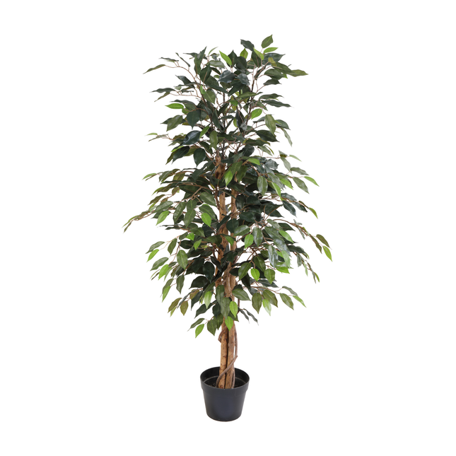 Kunstplant Ficus Benjamina - ↕130cm