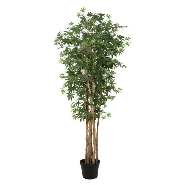 Kunstplant Acer palmatum - ↕180cm
