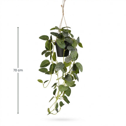 Kunstplant Fittonia - hangplant in pot - ↕70cm