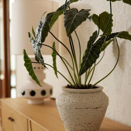 Kunstplant Alocasia - ↕80cm