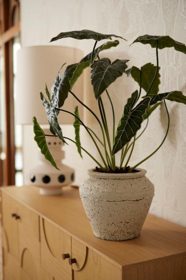 Kunstplant Alocasia - ↕80cm
